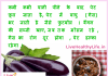 गैस भगाये बैंगन – Home Remedies For Gastric Problem home remedies for gastric problem brinjal