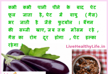 गैस भगाये बैंगन – Home Remedies For Gastric Problem home remedies for gastric problem brinjal