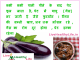 home remedies for gastric problem brinjal