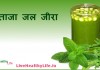 ताजा जल जीरा – Jal Jeera Jal Jeera