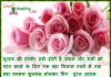 गर्मी में राहत (गुलाब ) – Relief from summer by rose flower Summer tips Gulab Rose Indian drinks