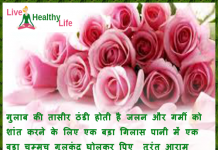 Summer tips Gulab Rose Indian drinks