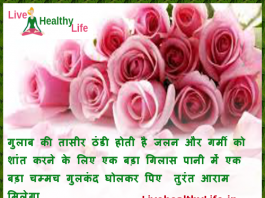 Summer tips Gulab Rose Indian drinks