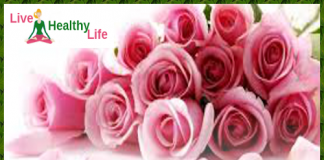 गर्मी में राहत (गुलाब ) – Relief from summer by rose flower Summer tips Gulab Rose Indian drinks