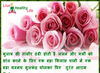 गर्मी में राहत (गुलाब ) – Relief from summer by rose flower Summer tips Gulab Rose Indian drinks