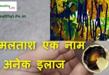 अमलताश – एक नाम अनेक इलाज – Cassia fistula amaltas cassia fistula amaltas
