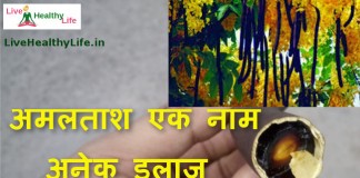 cassia fistula amaltas