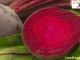 चुकंदर – Beetroot home remedies चुकंदर - Beetroot home remedies