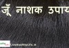 जूँ नाशक उपाय – Home remedies for louse in hair home remedies for louse in hair