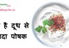 दही है दूध से ज्यादा पोषक – Yogurt more nutritious than milk yogurt (curd) more nutritious than milk