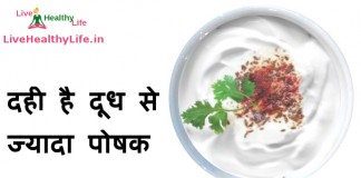 दही है दूध से ज्यादा पोषक – Yogurt more nutritious than milk yogurt (curd) more nutritious than milk