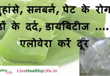 मुहांसे, सनबर्न ,पेट के रोग, जोडों के दर्द , डायबिटीज  ……. एलोवेरा करें दूर – Amazing Benefits Of Aloe Vera (Ghritkumari) For Skin, Hair, And Health Benefits Of Aloe Vera (Ghritkumari) For Skin, Hair, And Health