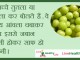 तुतलाना का इलाज – home remedies for tutalana home remedies for tutalana