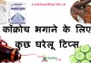 कॉक्रोच भगाने के लिए कुछ घरेलू टिप्स – how to get rid of cockroach home remedies how to get rid of cockroach home remedies