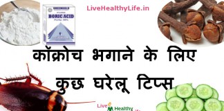 how to get rid of cockroach home remedies