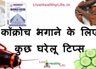 how to get rid of cockroach home remedies