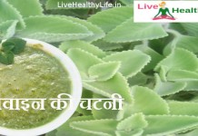 अजवाइन की चटनी Ajwain Chatnee ajwain chatnee