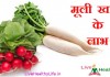 मूली खाने  के लाभ Benefits of Radish health benefits of radish