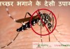 मच्छर भगाने के देसी उपाय –  Home Remedies for mosquitoes home remedies for mosquitoes