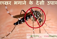 home remedies for mosquitoes
