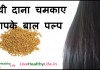 मेथी दाना चमकाए आपके बाल पल्प – Long strong hair with methi dana (Fenugreek seeds for hair) in Hindi मेथी दाना चमकाए आपके बाल पल्प - Long strong hair with methi dana (fenugreek seed)