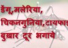 डेंगू,मलेरिया, चिकनगुनिया,टायफाइड बुख़ार दूर भगाये – Dengue, Chikungunya, Malaria & Typhoid home remedies डेंगू,मलेरिया, चिकनगुनिया,टायफाइड बुख़ार दूर भगाये - Dengue, Chikungunya, Malaria & Typhoid home remedies