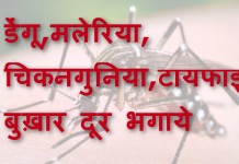 डेंगू,मलेरिया, चिकनगुनिया,टायफाइड बुख़ार दूर भगाये - Dengue, Chikungunya, Malaria & Typhoid home remedies