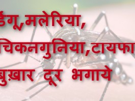 डेंगू,मलेरिया, चिकनगुनिया,टायफाइड बुख़ार दूर भगाये - Dengue, Chikungunya, Malaria & Typhoid home remedies