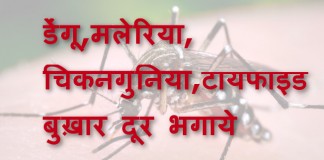 डेंगू,मलेरिया, चिकनगुनिया,टायफाइड बुख़ार दूर भगाये – Dengue, Chikungunya, Malaria & Typhoid home remedies डेंगू,मलेरिया, चिकनगुनिया,टायफाइड बुख़ार दूर भगाये - Dengue, Chikungunya, Malaria & Typhoid home remedies