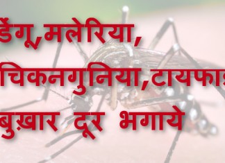डेंगू,मलेरिया, चिकनगुनिया,टायफाइड बुख़ार दूर भगाये - Dengue, Chikungunya, Malaria & Typhoid home remedies