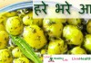 हरे भरे आलू – Green Baby potato recipe हरे भरे आलू - Green Baby potato recipe