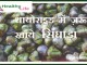 थायोराइड में ज़रूर खाये  सिंघाड़ा  Useful Water chestnut सिंघाड़े के ये फायदे कर देंगे आपको हैरान