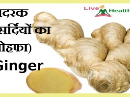 ginger