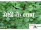 मेथी के लाभ – Benefits of  fenugreek benefits of fenugreek