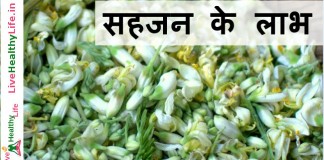 सहजन के लाभ - Health benefits of Drumstick