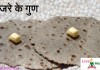 बाजरे के गुण Health Benefits of Pearl Millet बाजरे के गुण Health Benefits of Pearl Millet