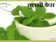 तुलसी फेस पैक – Tulsi Face Pack tulsi-facepack