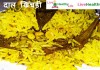 चना दाल खिचड़ी – Chana Dal Khichdi चना दाल खिचड़ी - Chana Dal Khichdi
