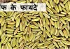 सौंफ के फायदे – Health benefit of fennel सौंफ के फायदे - Health benefit of fennel