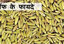 सौंफ के फायदे – Health benefit of fennel सौंफ के फायदे - Health benefit of fennel