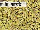 सौंफ के फायदे – Health benefit of fennel सौंफ के फायदे - Health benefit of fennel