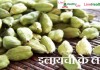 इलायची के लाभ Benefits of Cardamom ilaychee