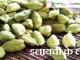 इलायची के लाभ Benefits of Cardamom ilaychee