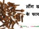 Long Khane Ke Fayde | लौंग खाने के फायदे व नुकसान | Cloves (Laung) in Hindi लौंग खाने के फायदे - Long Khane Ke Fayde