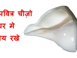 इन पवित्र चीज़ो को घर मे अवशय रखे - Must have in home increase positive energy