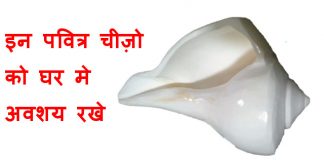 इन पवित्र चीज़ो को घर मे अवशय रखे - Must have in home increase positive energy