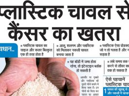 प्लास्टिक चावल से कैंसर का खतरा - ऐसे पहचाने प्लास्टिक चावल