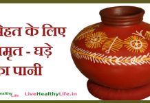 सेहत के लिए अमृत – घड़े का पानी Earthen Pot Water pot water