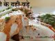 सूजी के दही वड़े  Semolina Dahi Bada सूजी के दही वड़े Semolina Dahi Bada