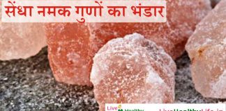 सेंधा नमक गुणों का भंडार – Health benefit of sendha namak / Rock Salt सेंधा नमक गुणों का भंडार - Health benefit of sendha namak / Rock Salt